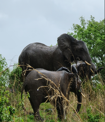 Screenshot 2024-08-06 134625