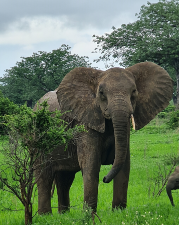 Screenshot 2024-08-06 135438