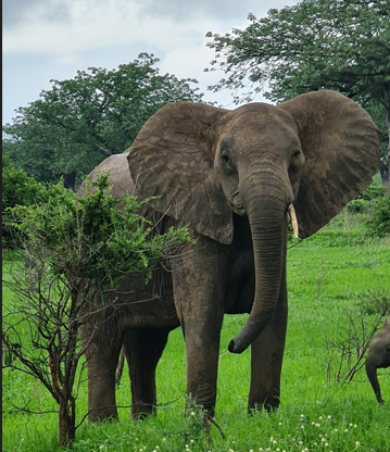 Screenshot 2024-08-06 135453